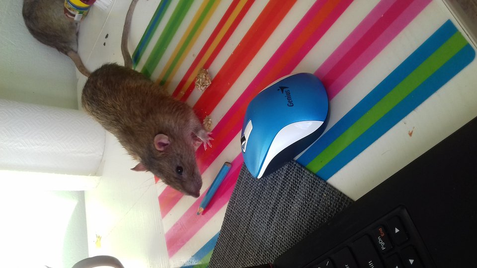 20170216_134233.jpg (90.97 КБ) 17815 просмотров 20170216_134233.jpg