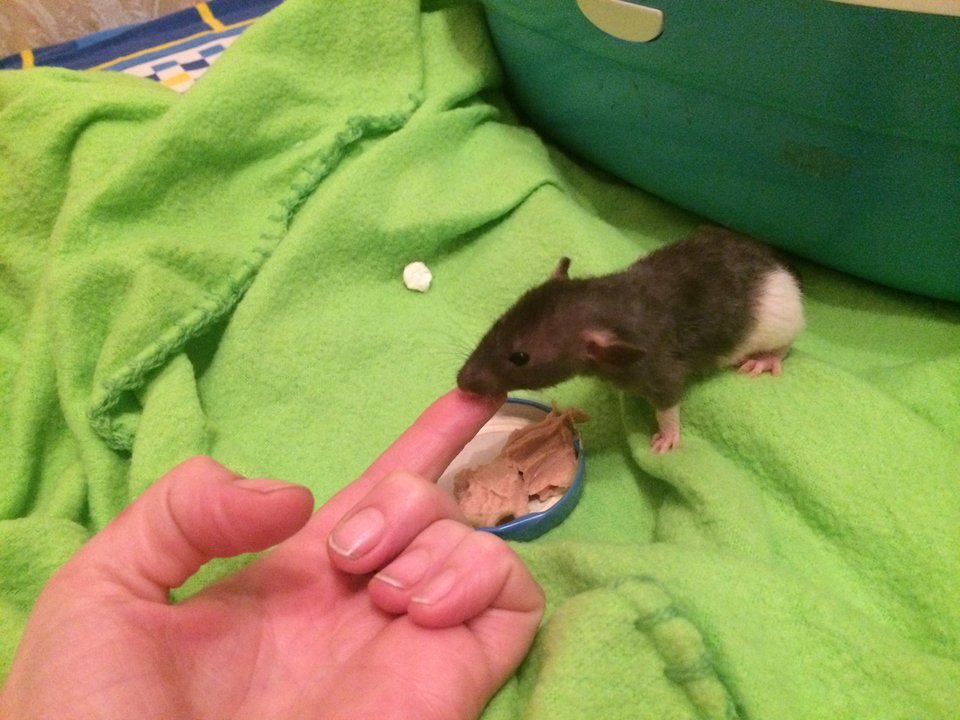 image.jpeg (1.7 МБ) 20191 просмотр image.jpeg